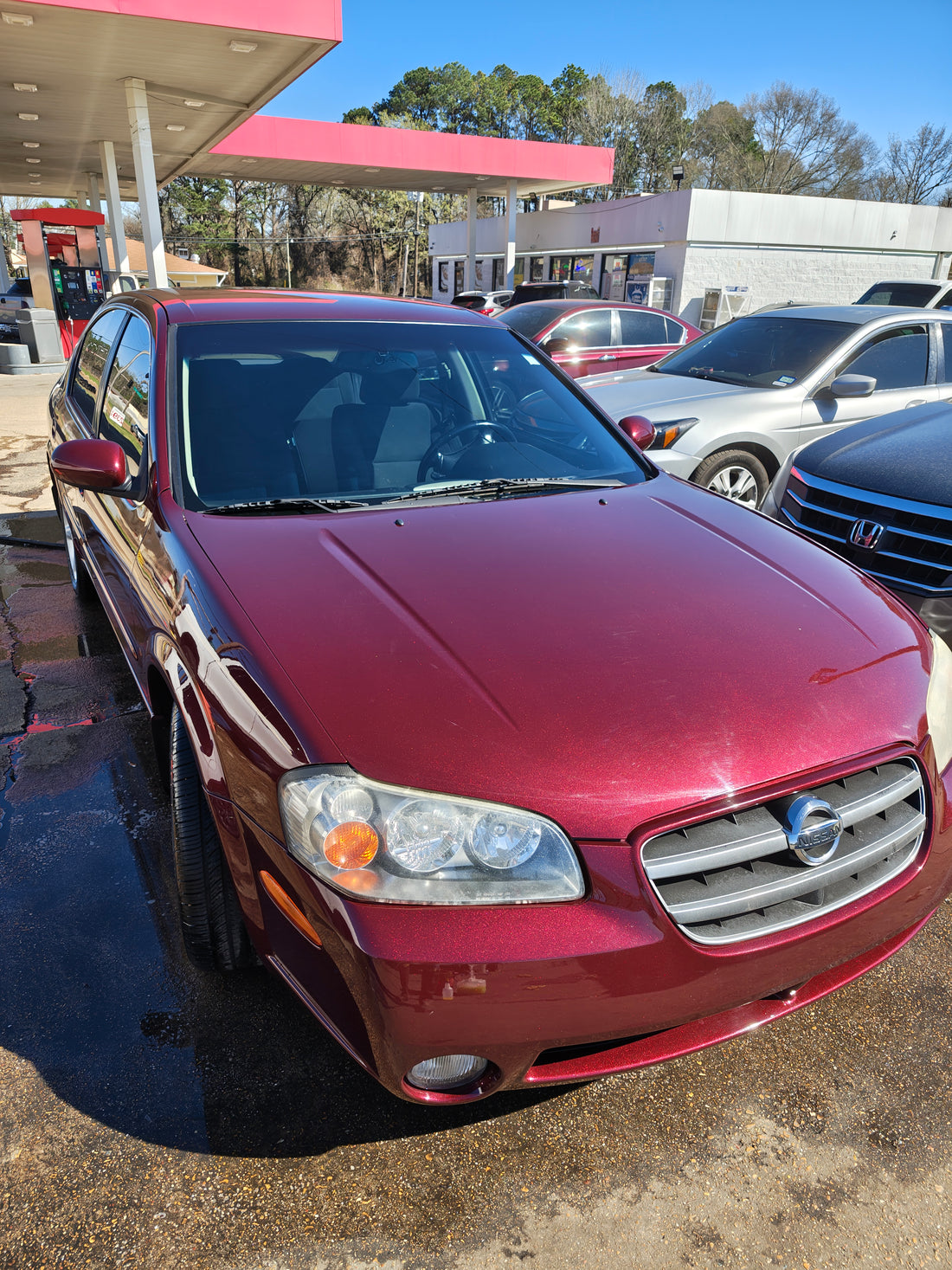 Elevate Your Ride with Professional Car Detailing Tips