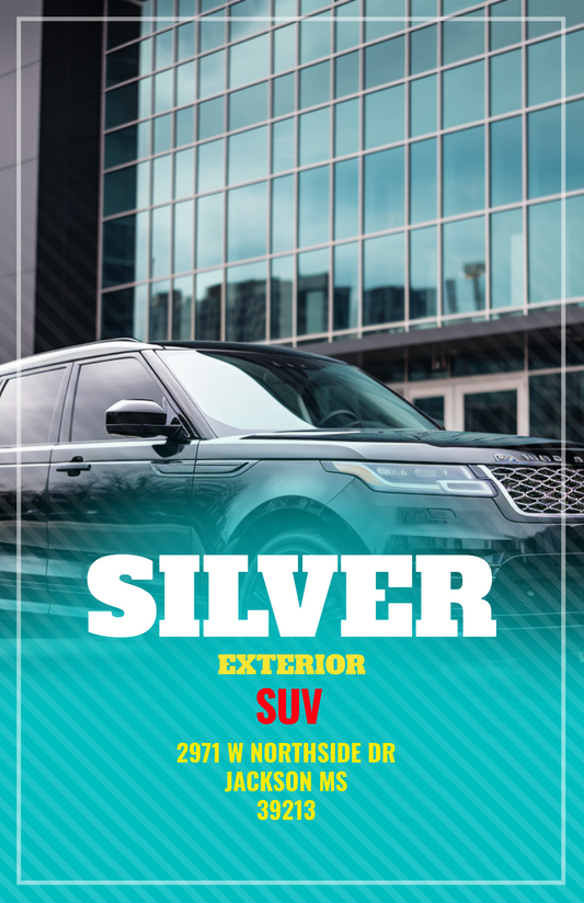 Silver Exterior Detail CUV